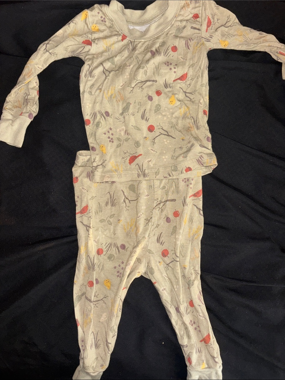 12 mo PJS unisex